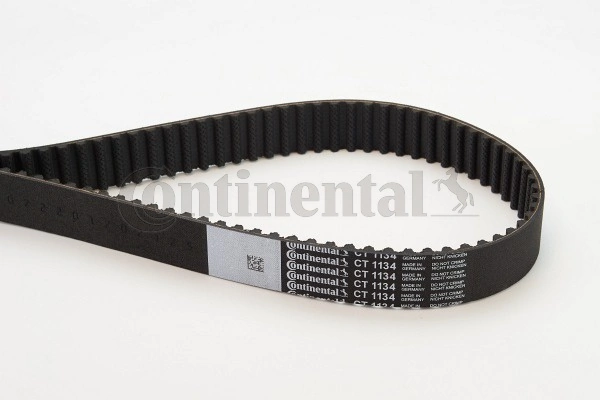 Timing Belt